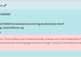 error: DevToolsActivePort file doesn’t exist