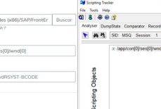 SAP id usuario – id contraseña