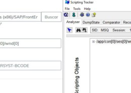 SAP id usuario – id contraseña