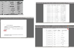 Copiar celdas (Tabla) desde Excel a Word